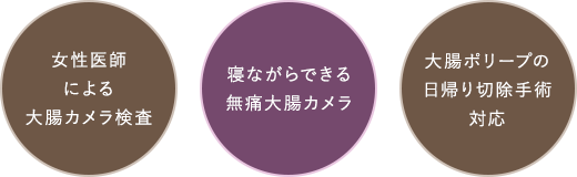 女性医師による大腸カメラ検査/寝ながらできる無痛大腸カメラ/大腸ポリープの日帰り切除手術対応